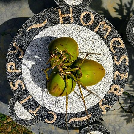 Crispycool Homestay Kuta  Kültér fotó