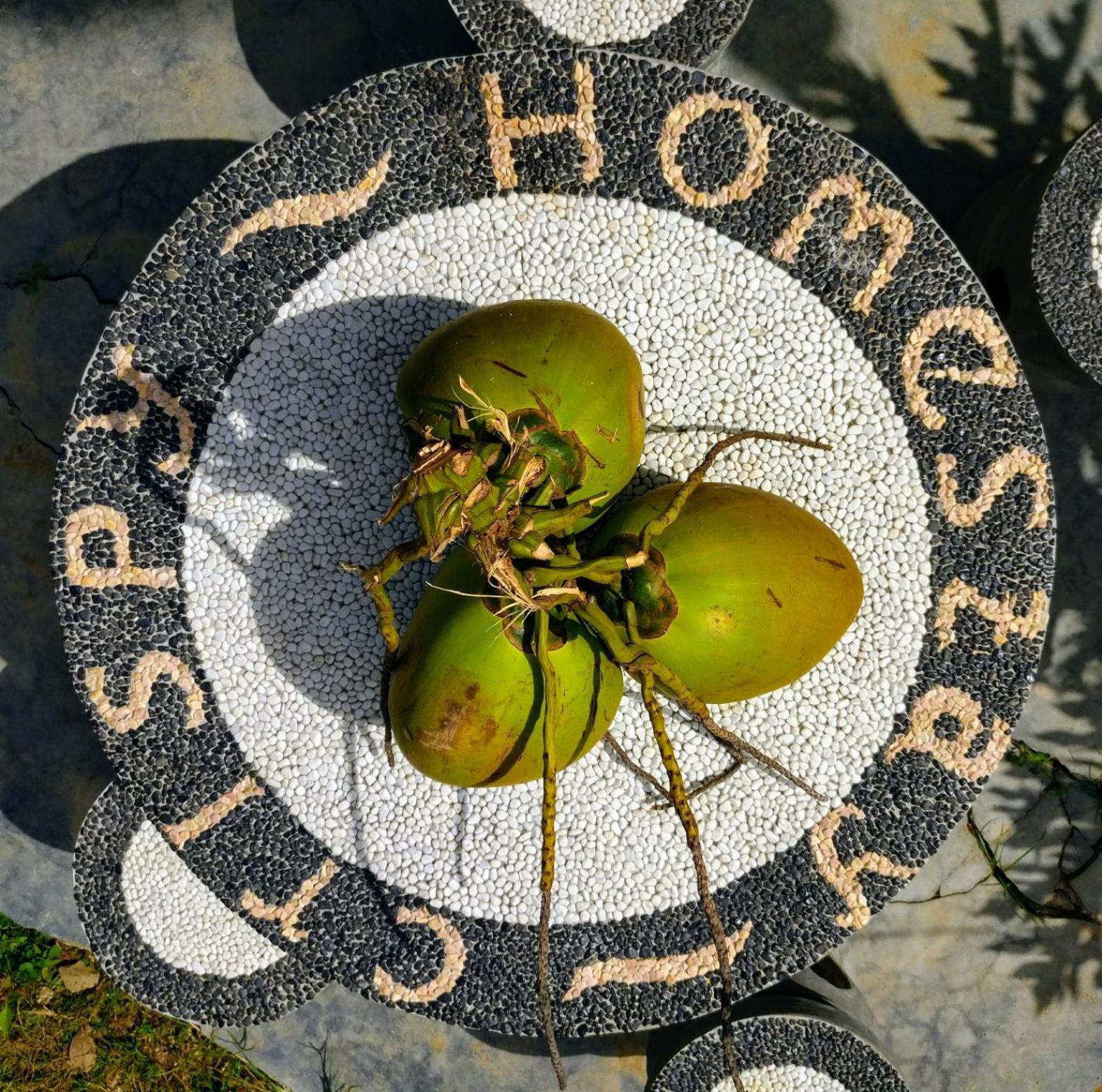 Crispycool Homestay Kuta  Kültér fotó